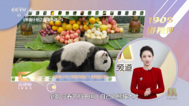宋佳王阳《回响》窥探人性 破案牵扯出无数记忆 2023-03-17 日前，根据东西同名小说改编，由宋佳、王阳领衔主演，包贝尔、吴优、朱雨辰主演的情感悬疑网络剧《回响》首播，女警察冉咚咚（宋佳 饰）在调查夏冰清（吴优 饰）离奇死亡一案的过程中，意外发现丈夫慕达夫（王阳 《回响》定档3.16 宋佳王阳《人世间》后再演夫妻 2023-03-13 3月13日，根据东西同名小说改编，由宋佳、王阳领衔主演，包贝尔、吴优、朱雨辰主演的情感悬疑网络剧《回响》定档，确定将于3月16日与观众们见面，强大的制作班底、演技十足的演员阵容、引人入胜的故事设定 高晓松监制《北回归线》 李治廷、吴昕畅聊爱情 2014-09-15 高晓松监制，李治廷、黄龄主演的爱情喜剧《北回归线》已定档于10月10日上映。